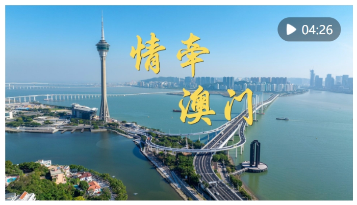 微信截图_20241222154232