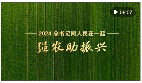 微信截图_20241224083954