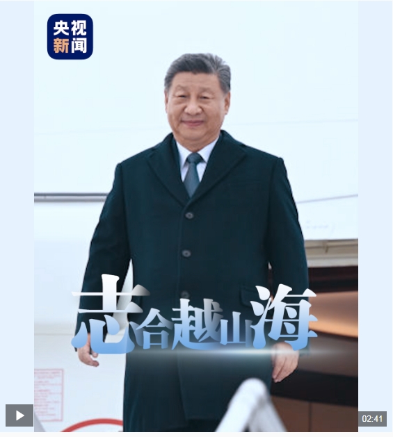 微信截图_20241226090505