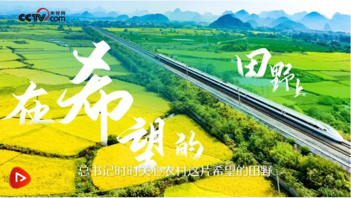 微信截图_20250113202153