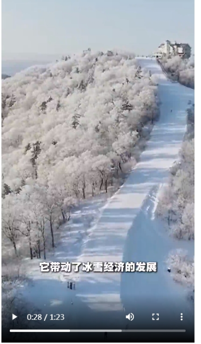 微信截图_20250121140812