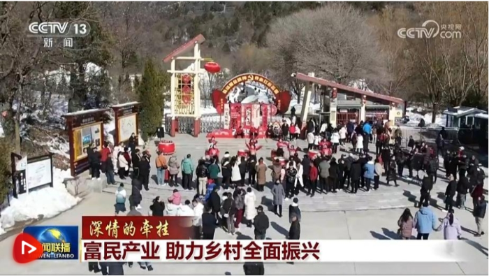 微信截图_20250202084643
