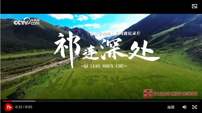 微信截图_20250213092419
