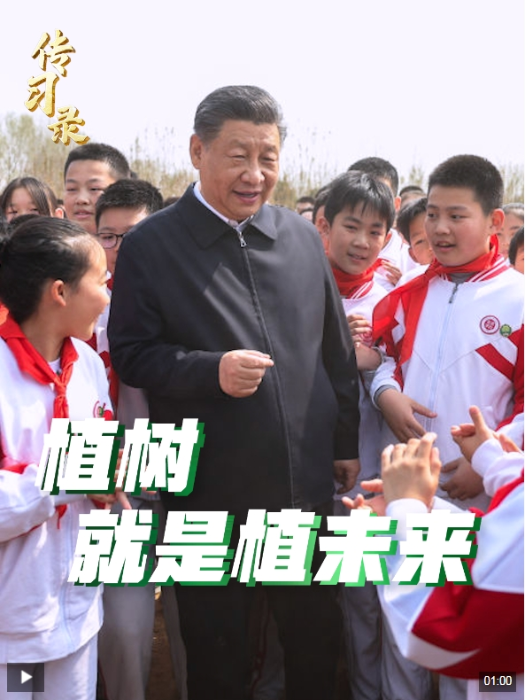 微信截图_20250312092027