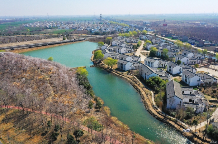 （全媒体）图说_泗阳：乡村如画(分离图)(12369596)-20250325085831