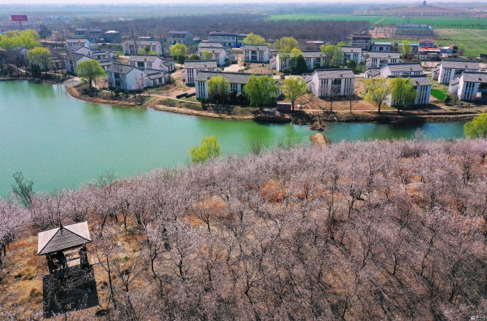 （全媒体）图说_泗阳：乡村如画(分离图)(12369595)-20250325085815