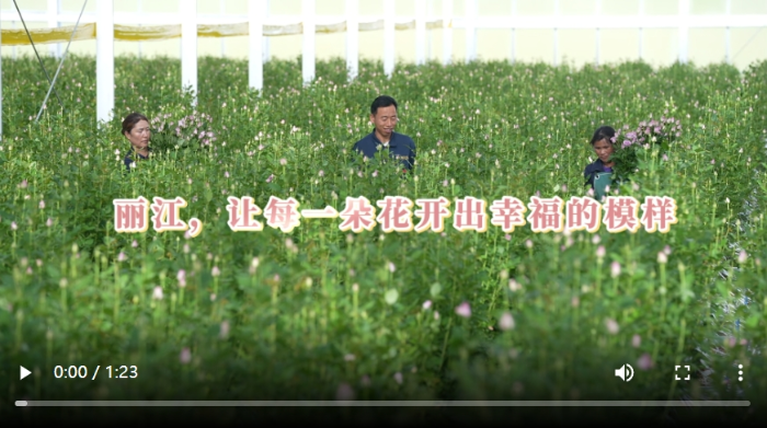 微信截图_20250330201752