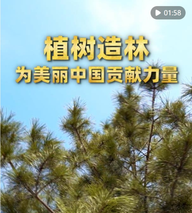微信截图_20250404121223