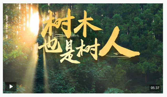 微信截图_20250406152008
