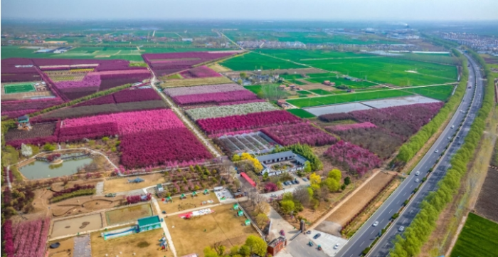 微信截图_20250409083346