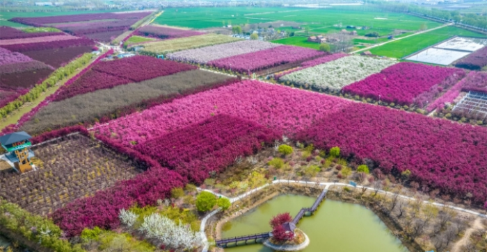 微信截图_20250409083316