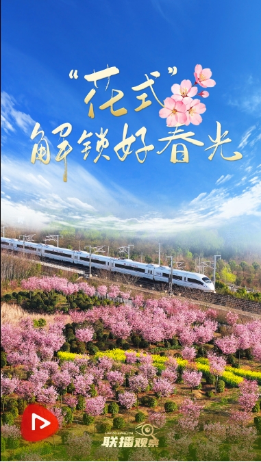 微信截图_20250501164112