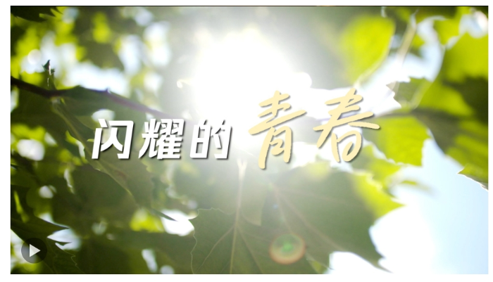 微信截图_20250504094356