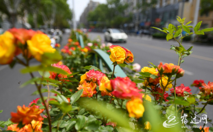 QQ20250507-091903