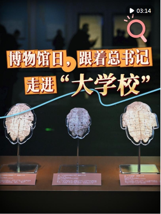 微信截图_20250518130143