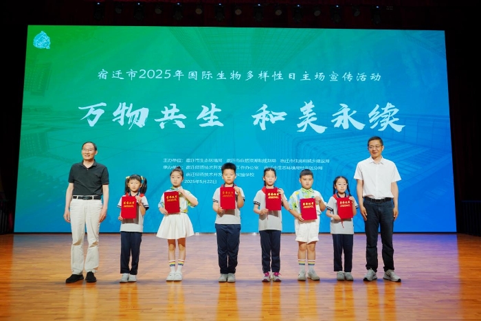 图片5