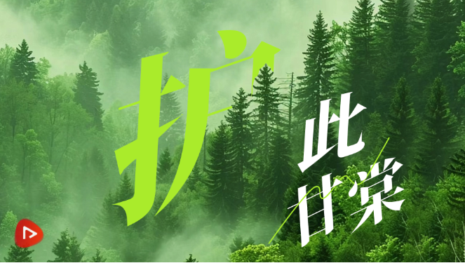 QQ20250608-091903