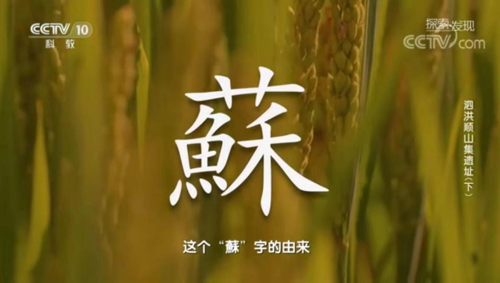 图片13.png