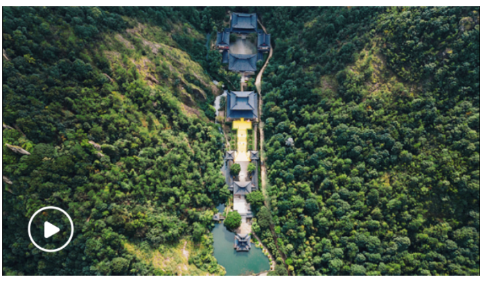 屏幕截图 2025-08-11 122938