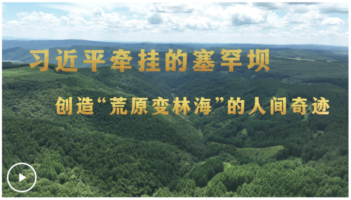 屏幕截图 2025-08-17 084132