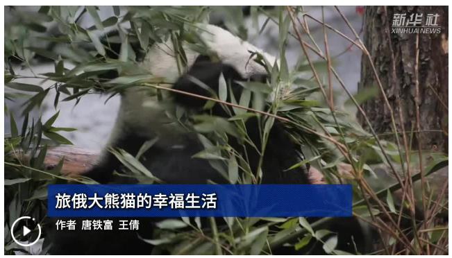 360截图20251026091038416
