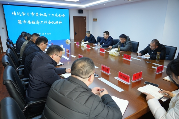 集团传达学习市委六届十二次全会暨市委经济工作会议精神