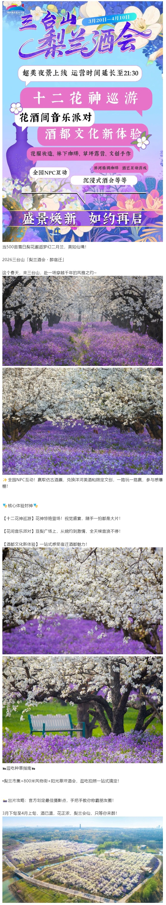 倒计时！刷屏预警！三台山梨兰酒会即将启幕(1)