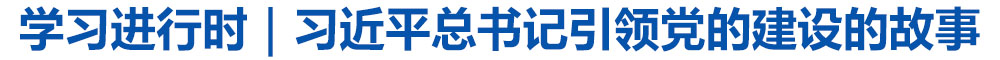 学习进行时|习近平总书记引领党的建设的故事