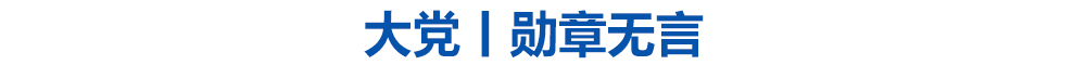 大党丨勋章无言