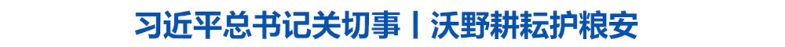 习近平总书记关切事丨沃野耕耘护粮安