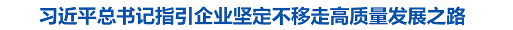习近平总书记指引企业坚定不移走高质量发展之路
